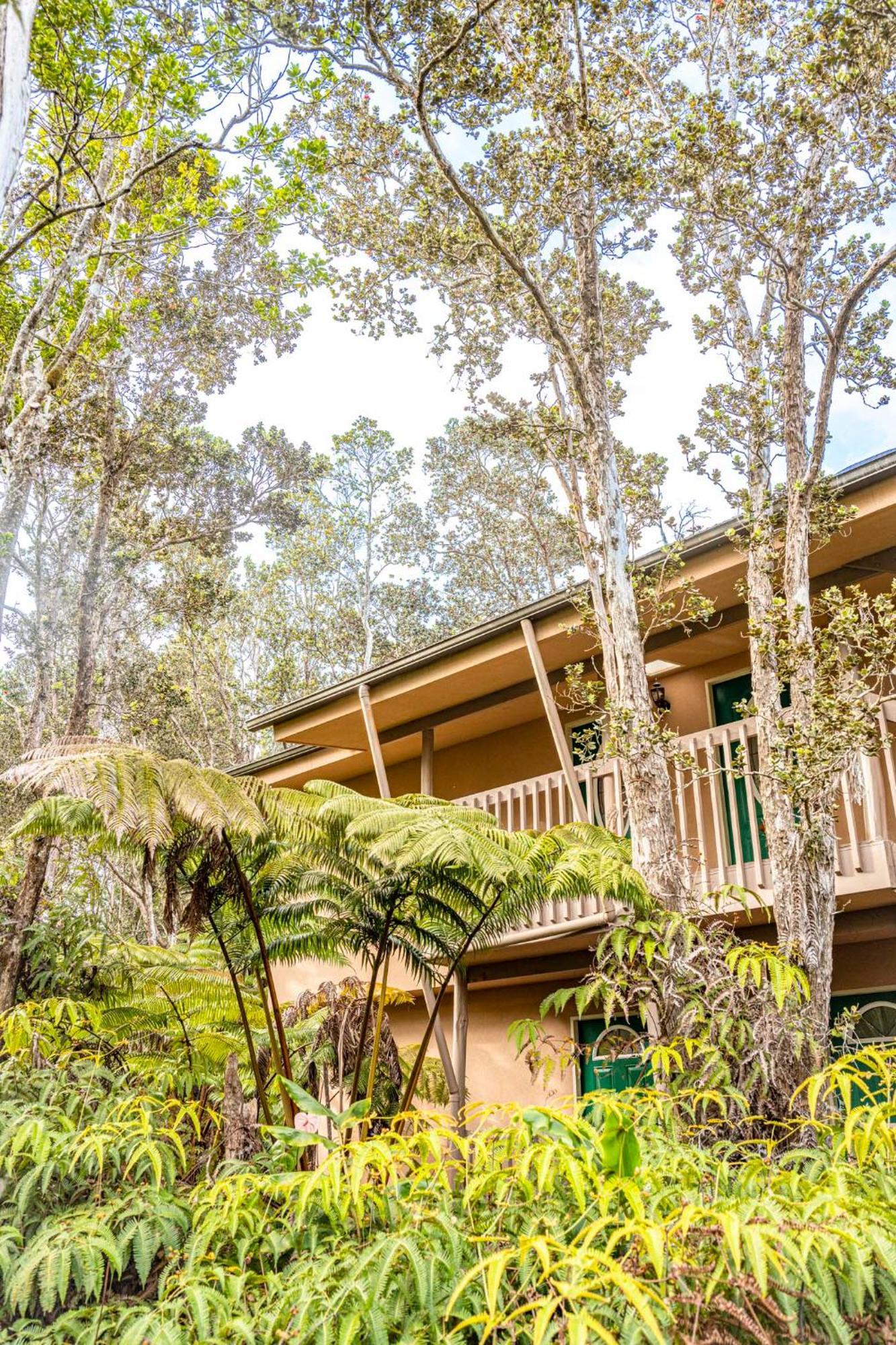 Volcano Inn Bed N Breakfast Esterno foto